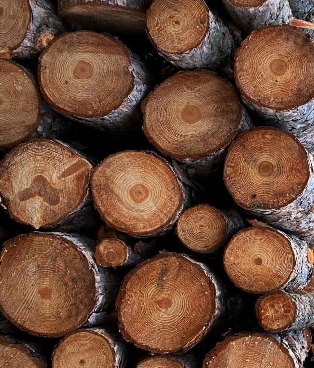 MADERA DE HEVEA
