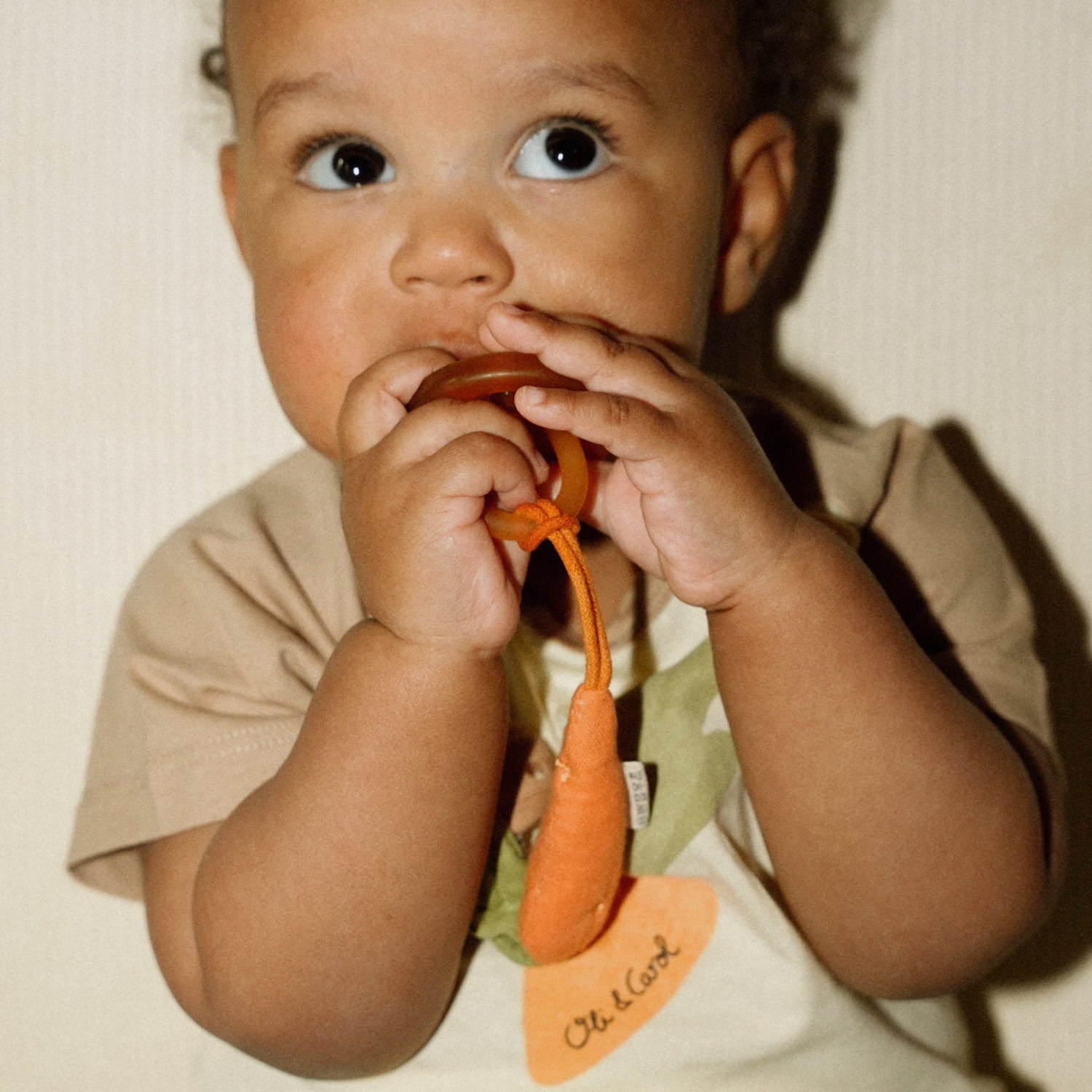 Cathy the Carrot Pacifier Clip - Oli&Carol