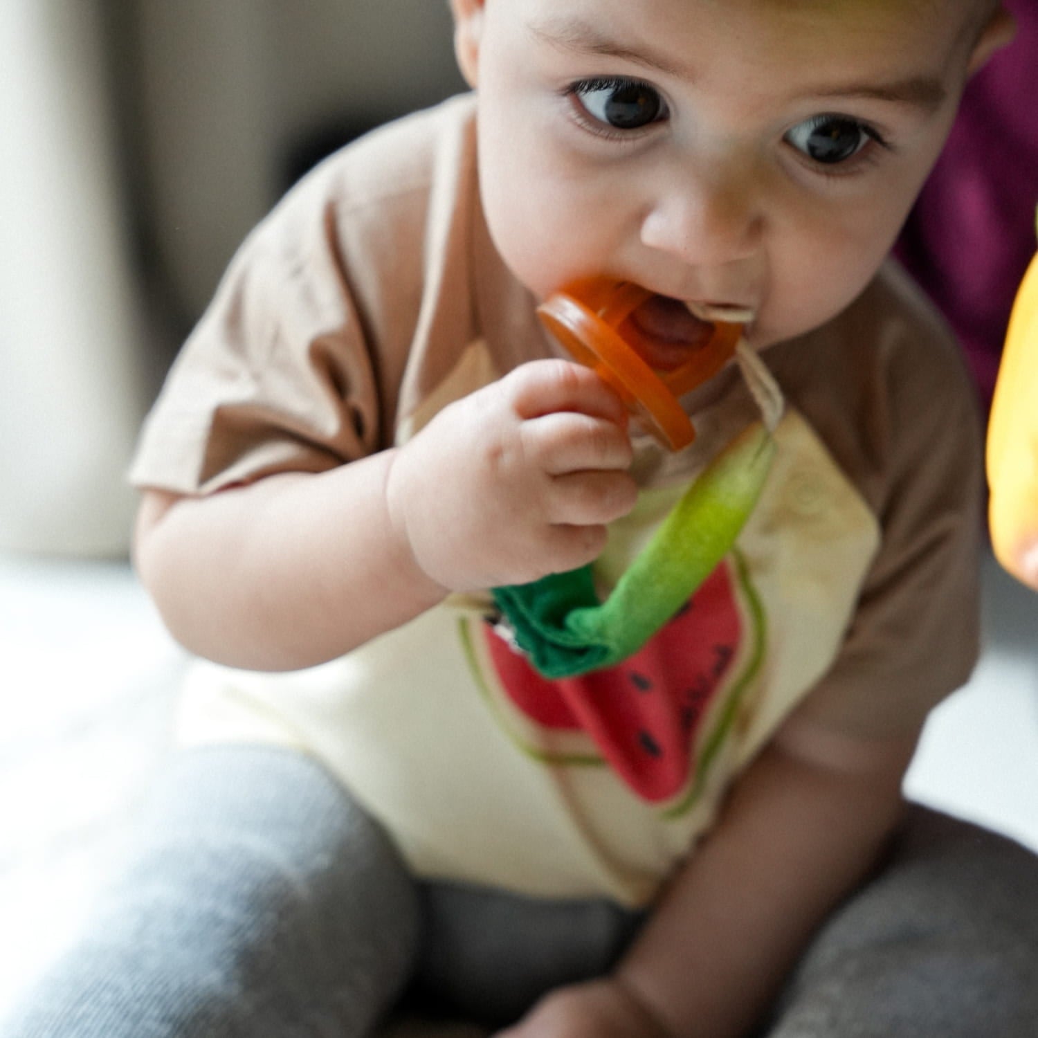 Luke the Leek Pacifier Clip - Oli&Carol