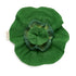 Kendall the Kale Mini Doudou-Teether - Oli&Carol